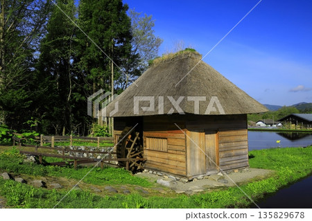 Thatched roof village in a Gassho-style village 135829678