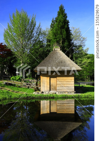 Thatched roof village in a Gassho-style village 135829679