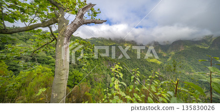 Vereda dos Balcoes PR11 Mountain Footpath, Madeira, Portugal Vereda dos Balcoes PR11 Mountain Footpath, Madeira, Portugal 135830026