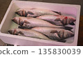 Fresh Sea Bass, Fish Market, Spain 135830039