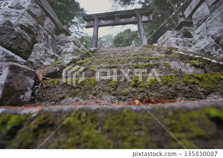 A torii gate appears at the end of the stone steps. A sacred area that feels like an entrance to another world. 135830087