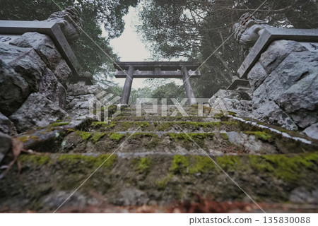 The world of the shrine unfolds beyond the stone steps. The path leads to the sacred area. The world of the shrine unfolds beyond the stone steps. The path leads to the sacred area. 135830088