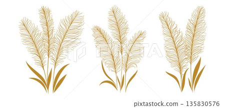 Hand-drawn pampas grass line art compositions. Beige boho botanical elements in elegant floral style. Vector decor isolated on white background for branding and weddings 135830576