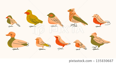 Spring Birds Character Illustration Set Spring Birds Character Illustration Set 135830687