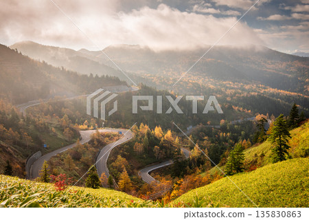 滋賀草津高原路線：蜿蜒曲折的公路，沿途可欣賞壯麗的澀谷景色，以及雲海和秋葉交織的迷人風光。 135830863