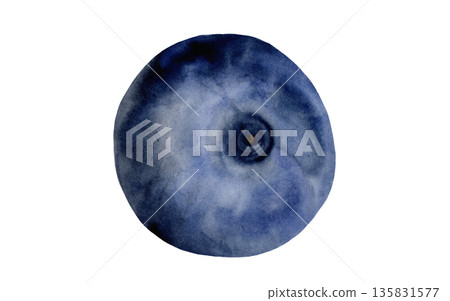 Blueberry watercolor illustration. Hand-drawn blue berry on a white background. Botanical clip art. Perfect for food blog designs, organic store menus, and packaging for products and cosmetics. 135831577