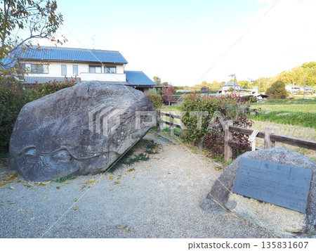 奈良縣龜石市,11月 奈良縣龜石市,11月 135831607