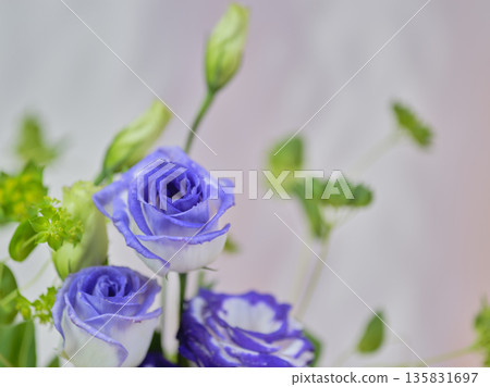 Colorful lisianthus Colorful lisianthus 135831697