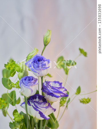 色彩繽紛的洋桔梗 色彩繽紛的洋桔梗 135831698