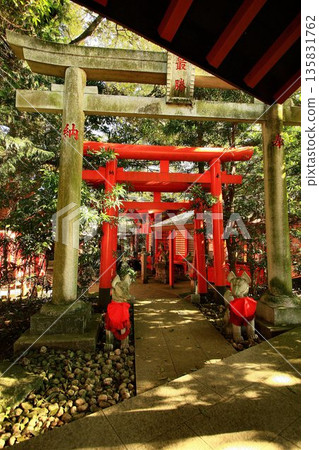 日本唯一能實現夢想的大名神和能束縛夢想的神明……位於稻敷市大杉神社的稻荷神社 日本唯一能實現夢想的大名神和能束縛夢想的神明……位於稻敷市大杉神社的稻荷神社 135831762