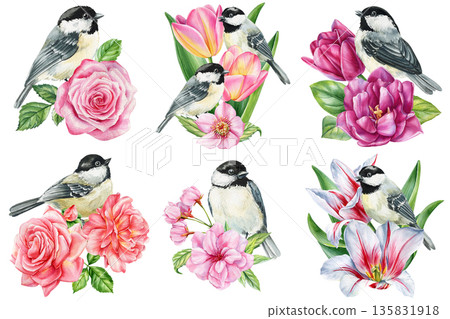 Chickadee bird floral set with rose tulip peony lily and cherry blossoms watercolor bouquets isolated on white Chickadee bird floral set with rose tulip peony lily and cherry blossoms watercolor bouquets isolated on white 135831918