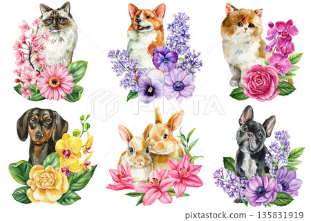Pet portraits watercolor set with cat dogs rabbits and floral bouquets orchids rose lilac cherry blossoms isolated on white 135831919