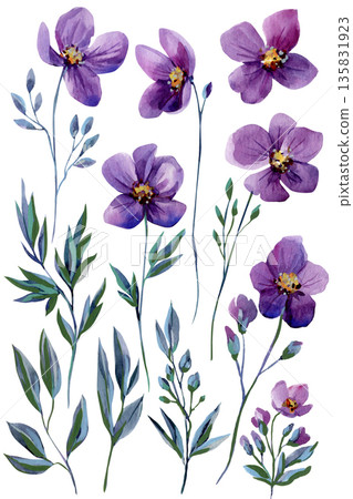 Purple watercolor wildflowers set with violet blooms buds and leafy stems isolated on white for spring wedding stationery 135831923