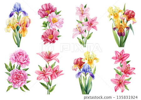 Iris peony lily watercolor bouquet set with pink blooms and spring garden flowers isolated on white for wedding 135831924