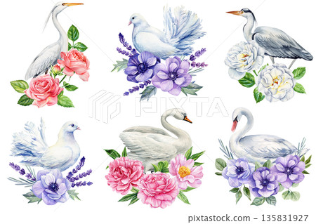 Elegant birds with flowers watercolor illustration set swan dove heron egret with roses peonies lavender 135831927