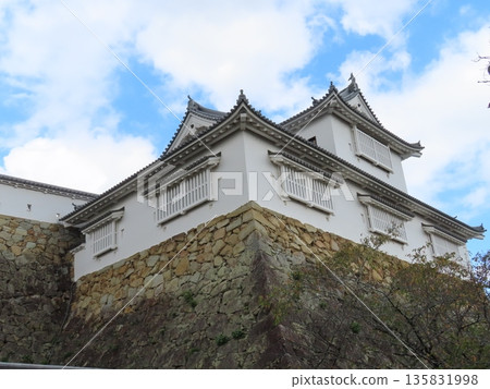 津山城，角山公園，美作國。這座城堡位於苫田郡津山市，是國家歷史遺跡，也是著名的賞櫻勝地。它由森忠政建造。 135831998
