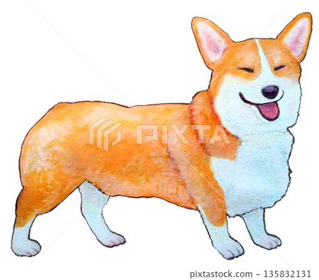 Smiling corgi Smiling corgi 135832131