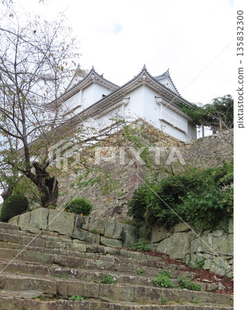 津山城,角山公園,美作國。這座城堡位於苫田郡津山市,是國家歷史遺跡,也是著名的賞櫻勝地。它由森忠政建造。 津山城,角山公園,美作國。這座城堡位於苫田郡津山市,是國家歷史遺跡,也是著名的賞櫻勝地。它由森忠政建造。 135832300