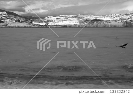 Lisi lake frozen in winter, small lake and popular recreation area in Tbilisi, Georgia 135832842