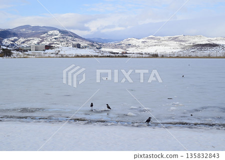 Lisi lake frozen in winter, small lake and popular recreation area in Tbilisi, Georgia 135832843