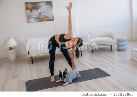 Windmill exercise. Woman with pug dog is doing yoga at home Windmill exercise. Woman with pug dog is doing yoga at home 135832963