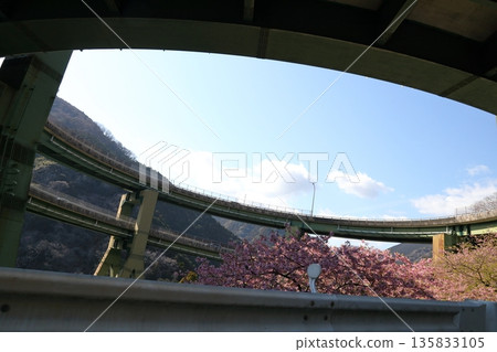 Nanataki Viaduct, Kawazu Town, Shizuoka Prefecture 135833105