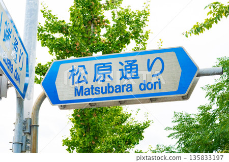 Road sign for Matsubara Street in Kyoto City Road sign for Matsubara Street in Kyoto City 135833197