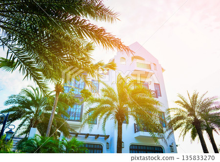 Palm trees on hotel apartments background. Palm trees at white building. Apartments Palm trees on hotel apartments background. Palm trees at white building. Apartments 135833270