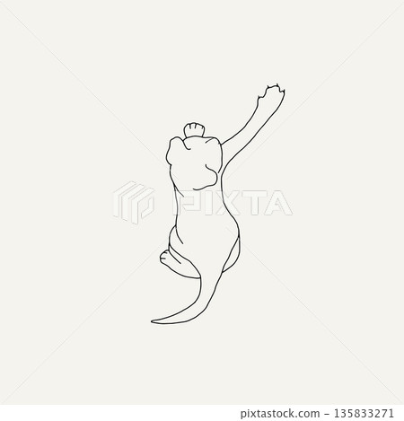 cat, animal, silhouette 135833271