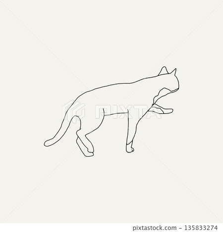 cat, walking, animal 135833274