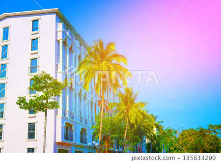Palm trees on hotel apartments background. Palm trees at white building. Apartments on bright sky  135833290