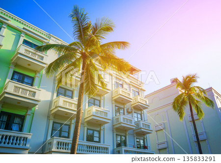 Palm trees on hotel apartments background. Palm trees at white building. Apartments on bright sky  135833291