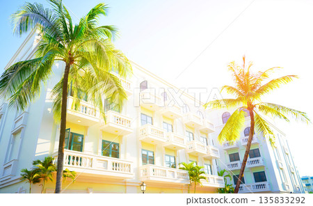 Palm trees on hotel apartments background. Palm trees at white building. Apartments on bright sky  135833292
