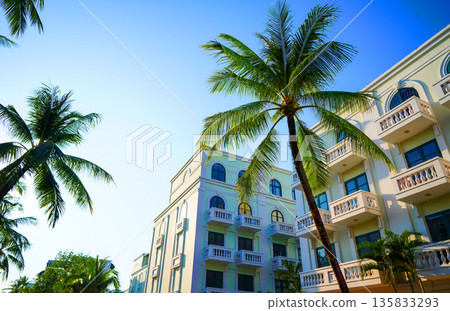 Palm trees on hotel apartments background. Palm trees at white building. Apartments  135833293
