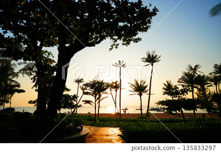 Palm trees on sunset background. Sea beach resort in holiday season. Boat in ocean, sandy shore, Palm trees on sunset background. Sea beach resort in holiday season. Boat in ocean, sandy shore, 135833297