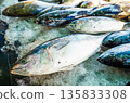 Fish close-up in seafood market. Fresh fish sale at local market. Freh seafood in ice on counter  135833308