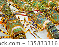 Fresh lobsters on ice at local market in beach town. Lobsters market in beach town. Fresh seafood  135833316