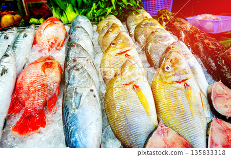 Fresh fish sale at local market in early morning. Freh seafood in ice on counter in a grocery store Fresh fish sale at local market in early morning. Freh seafood in ice on counter in a grocery store 135833318