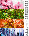 Spring, Summer, Autumn, Winter Collage Watercolor Style Background Image 135833432