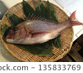紅鯛魚（頭和尾）盛於竹籃中，佐以竹葉 135833769