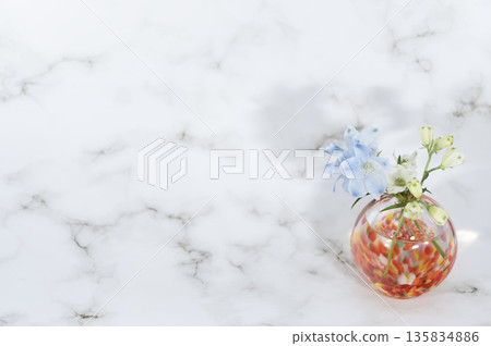 Delphinium flower in a warm-colored glass vase (right) Delphinium flower in a warm-colored glass vase (right) 135834886