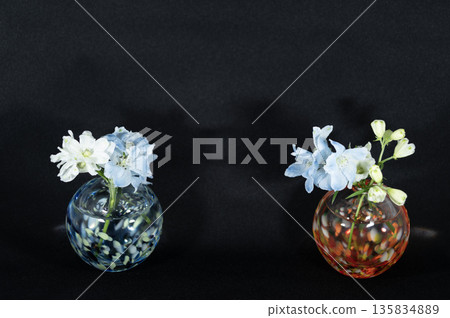 Two pairs of glass vases of delphinium flowers floating in the darkness (left and right) Two pairs of glass vases of delphinium flowers floating in the darkness (left and right) 135834889