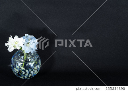 一朵翠雀花插在冷色調的玻璃花瓶裡，漂浮在黑暗中（左圖）。 135834890