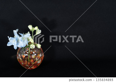 A delphinium flower in a warm-colored glass vase floating in the darkness (left) A delphinium flower in a warm-colored glass vase floating in the darkness (left) 135834893