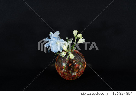 A delphinium flower in a warm-colored glass vase floating in the darkness (center position) A delphinium flower in a warm-colored glass vase floating in the darkness (center position) 135834894