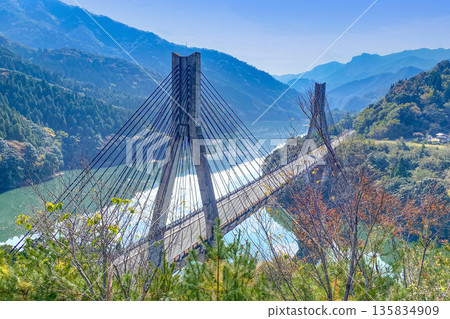 Umeno Uta Genka Bridge and autumn leaves in Saiki City Umeno Uta Genka Bridge and autumn leaves in Saiki City 135834909