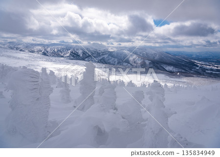 冬季八甲田山頂,白雪皚皚的樹木(雪怪)構成了一幅壯麗的冬日全景圖。 冬季八甲田山頂,白雪皚皚的樹木(雪怪)構成了一幅壯麗的冬日全景圖。 135834949