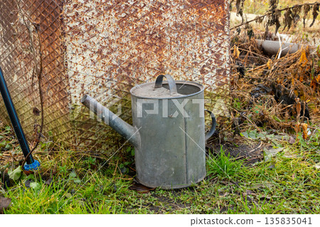 metal watering can sitting on green grass against an old weathered corrugated iron wall. Outdoor garden tools for watering plants, organic farming 135835041
