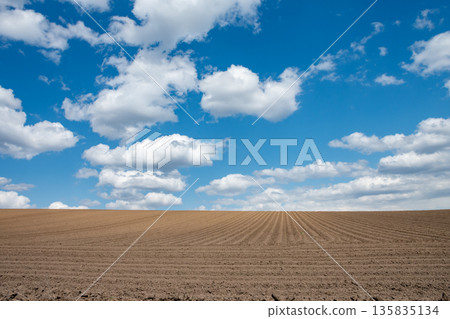 Spring plowed fields and blue sky Spring plowed fields and blue sky 135835134