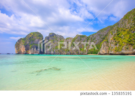 泰國皮皮島瑪雅海灘的度假勝地景色壯麗，擁有碧綠的海水和石灰岩懸崖。 135835191